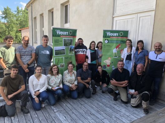 tiques groupe 1 pour Newsletter