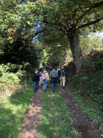 marche-foret-12-oct-2