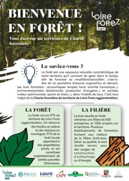 flyer-a5-usages en forêt-Loire-Forez-1