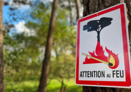 Prevention-feu-foret