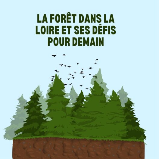 et-dans-a-2